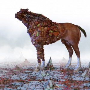 horse-decoherent