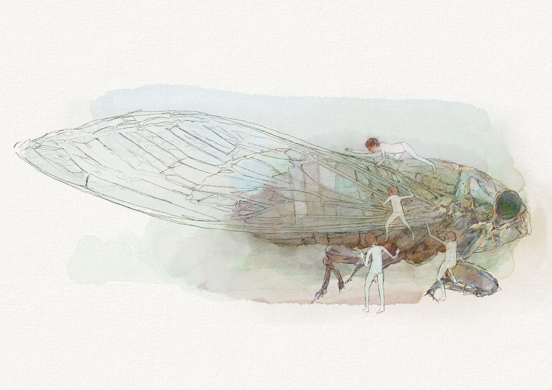 Children inspecting an enormous cicada, watercolour illustration by Nicolas Crombez