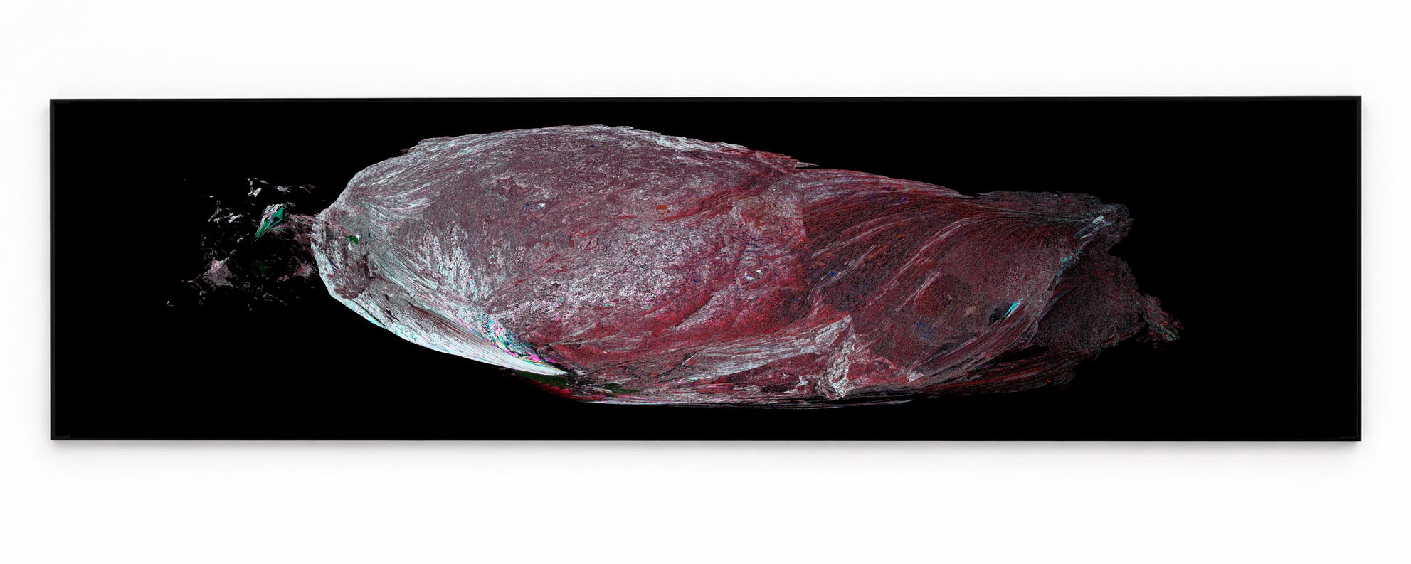 Panoramic red and violet textured form against a black background